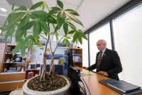 John Baackes stands at a desk and types on a computer. A potted plant in the foreground covers the left half of the frame.
